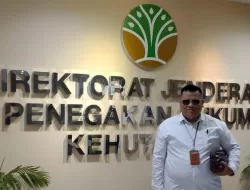Aktivis Germasi Desak Kejagung Bongkar Dalang Alih Fungsi Hutan TNBBS dan Gunung Raya: “Jangan Lindungi Mafia Hutan!”